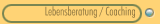Lebensberatung / Coaching